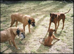 Heshima ya Kimba Fundani Nathi + family