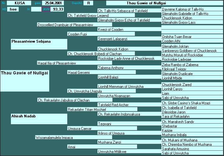 Pedigree of Thau Gawie of Nullgai