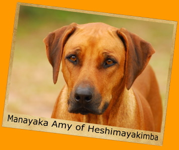 Manayakaya Amy of Heshimayakimba