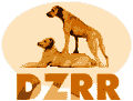 DZRR e.V.