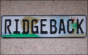 Original suedafrikanisches Nummernschild