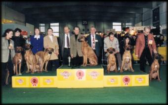 Nachzuchtgruppe mit CH. Rydgeway African Hunter