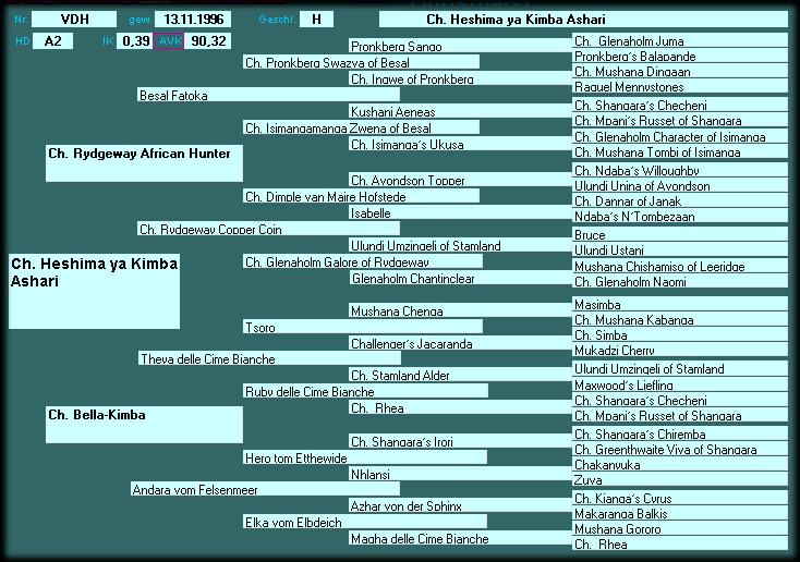 Pedigree CH. Heshima ya Kimba Ashari