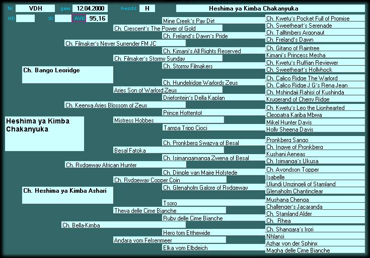 Pedigree Heshima ya Kimba Chakanyuka