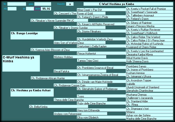 Pedigree Heshima ya Kimba C-Wurf