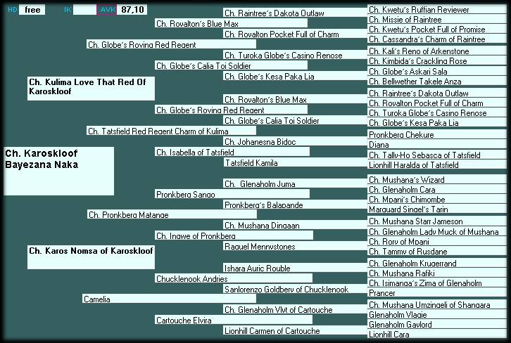 Pedigree CH. Karoskloof Bayezana Naka