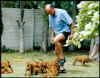 Bongani's Memories of South Africa